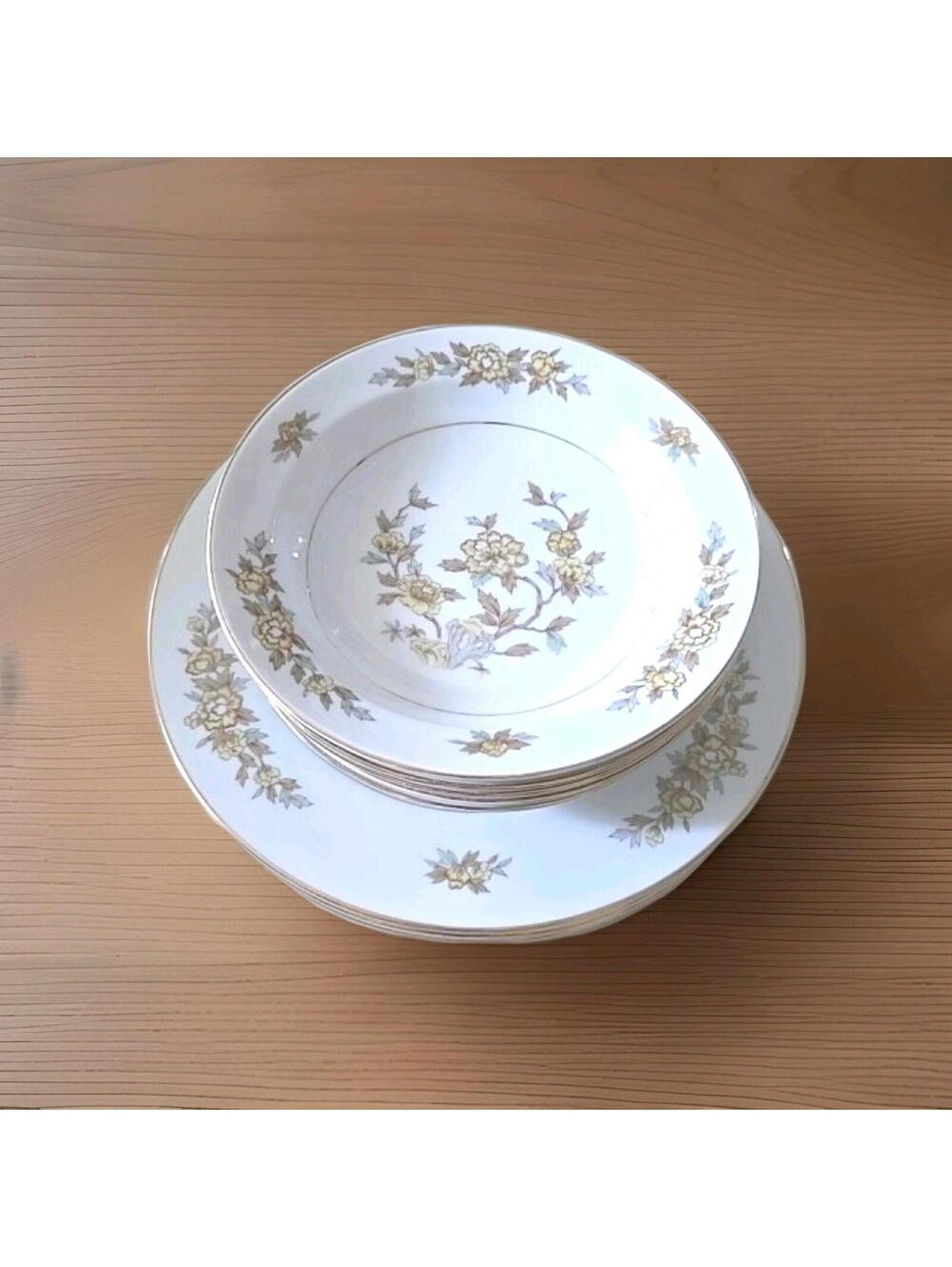 Style House Fine China Indore 4 Dinner plates & 5 Salad bowls Set of 9